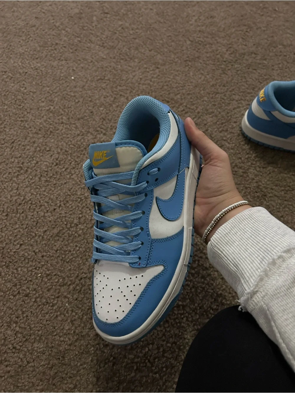 Nike Low 